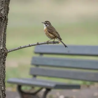 A bird perched on a branch, the branch extending from a tree
