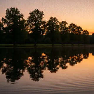 A row of trees reflected in a calm lake at sunset, with the 
