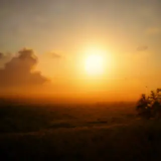 A landscape photograph bathed in golden hour light — long wa