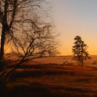 A landscape photograph bathed in golden hour light — long wa