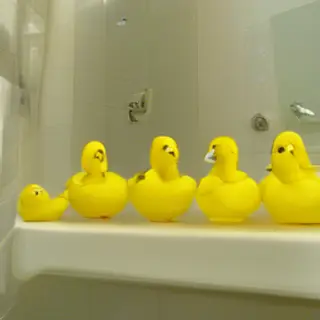 Exactly 5 yellow rubber ducks sitting in a row on a bathroom