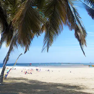 A tropical beach scene with no people