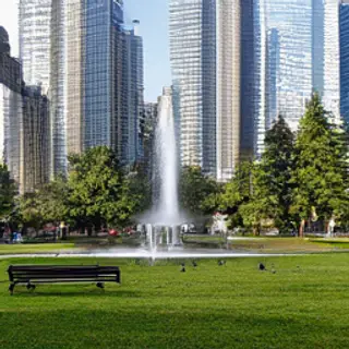 A city park with a park bench and pigeons in the foreground,