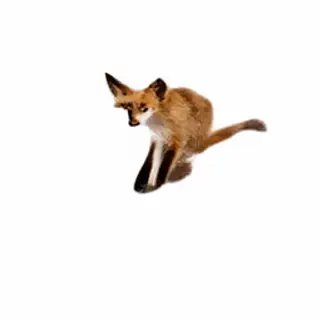 The sentence 'The quick brown fox jumps high' in clean black