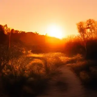 A landscape photograph bathed in golden hour light — long wa