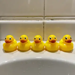 Exactly 5 yellow rubber ducks sitting in a row on a bathroom
