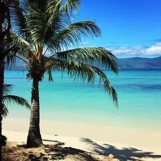 A tropical beach scene with no people