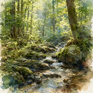 A forest rendered in photorealistic watercolor — the detail 