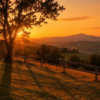 A landscape photograph bathed in golden hour light — long wa