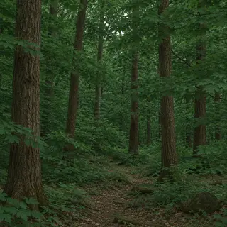 A forest scene where the foliage is precisely #2D5F2D (dark 
