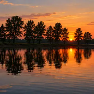 A row of trees reflected in a calm lake at sunset, with the 