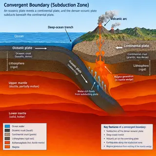 A cross-section showing tectonic plates at a convergent boun