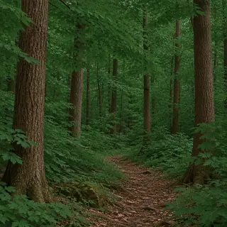 A forest scene where the foliage is precisely #2D5F2D (dark 