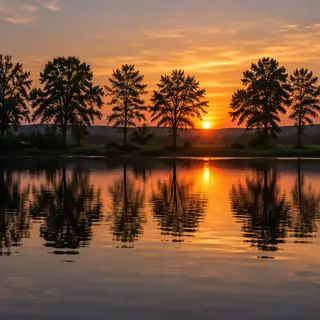 A row of trees reflected in a calm lake at sunset, with the 