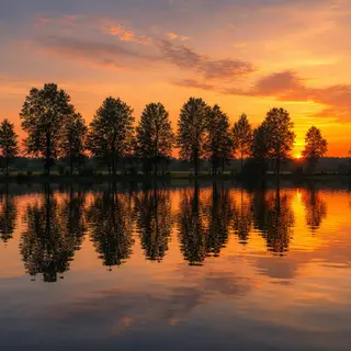 A row of trees reflected in a calm lake at sunset, with the 