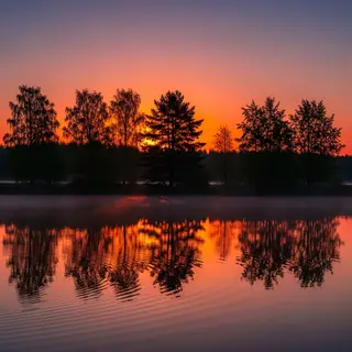A row of trees reflected in a calm lake at sunset, with the 