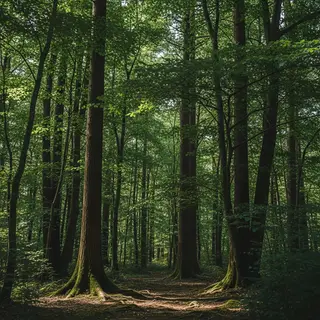 A forest scene where the foliage is precisely #2D5F2D (dark 