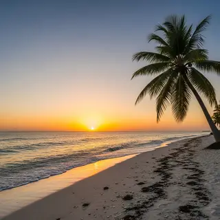 A tropical beach scene with no people