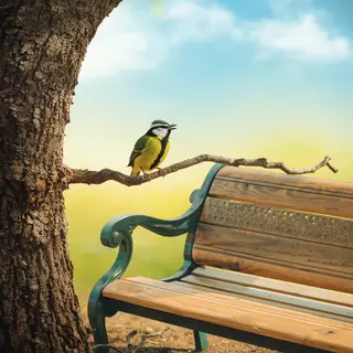 A bird perched on a branch, the branch extending from a tree