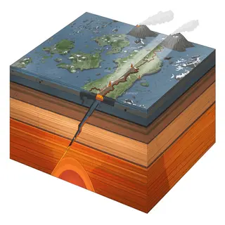 A cross-section showing tectonic plates at a convergent boun