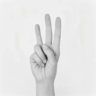 A person counting to three on their fingers, with index, mid