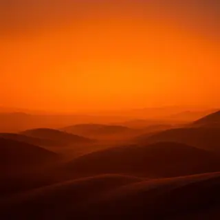 A landscape photograph bathed in golden hour light — long wa