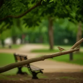 A bird perched on a branch, the branch extending from a tree