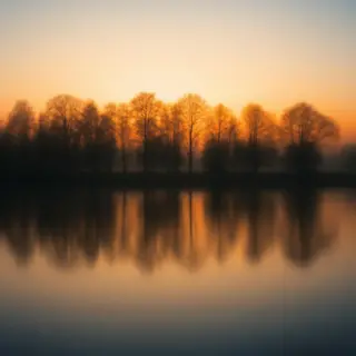A row of trees reflected in a calm lake at sunset, with the 