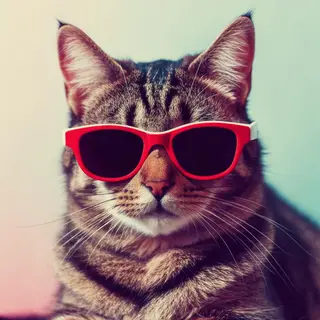 A tabby cat wearing oversized red sunglasses