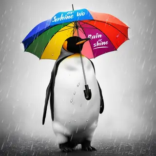 A penguin holding a colorful umbrella