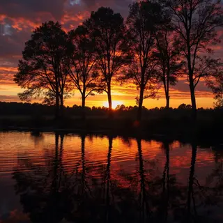 A row of trees reflected in a calm lake at sunset, with the 