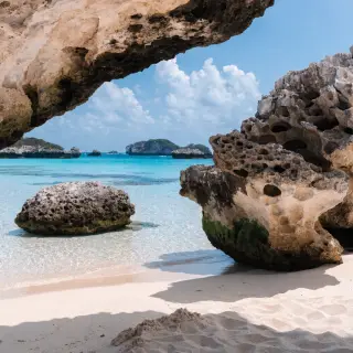 A tropical beach scene with no people